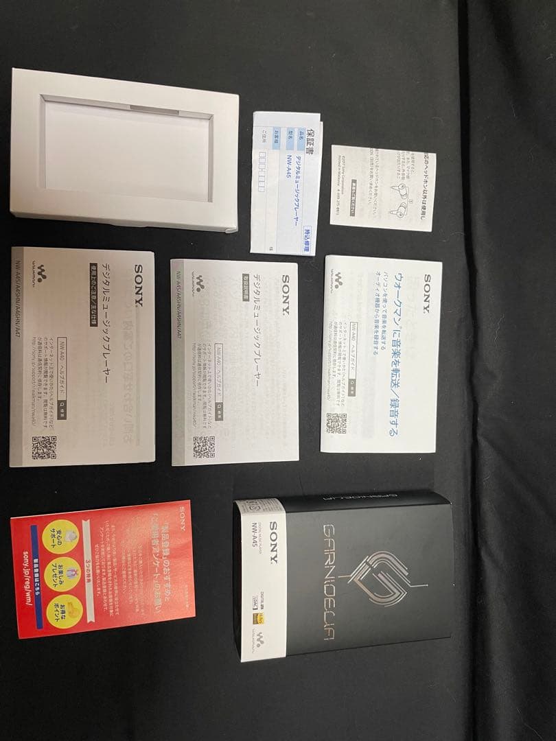 ポータブルプレーヤー NW-A45 GARNiDELiA SONY WALKMAN