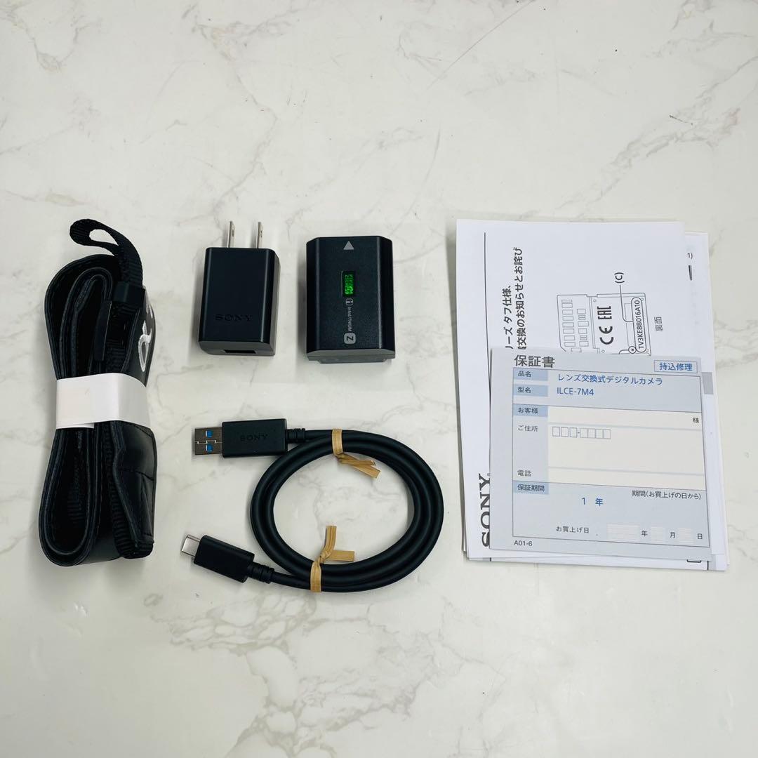 SONY α7Ⅳ ILCE-7M4 ショット数18,764回