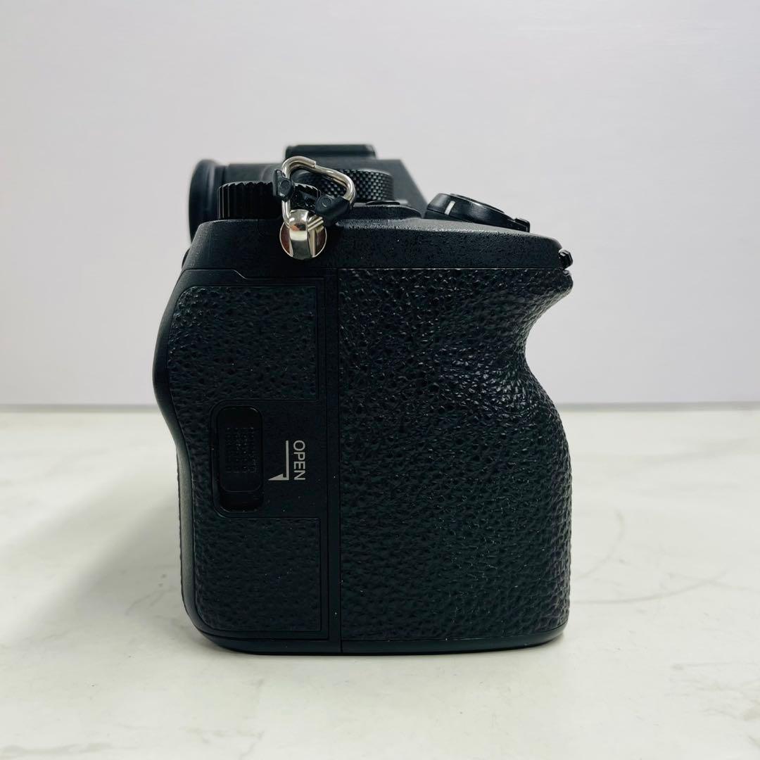 SONY α7Ⅳ ILCE-7M4 ショット数18,764回