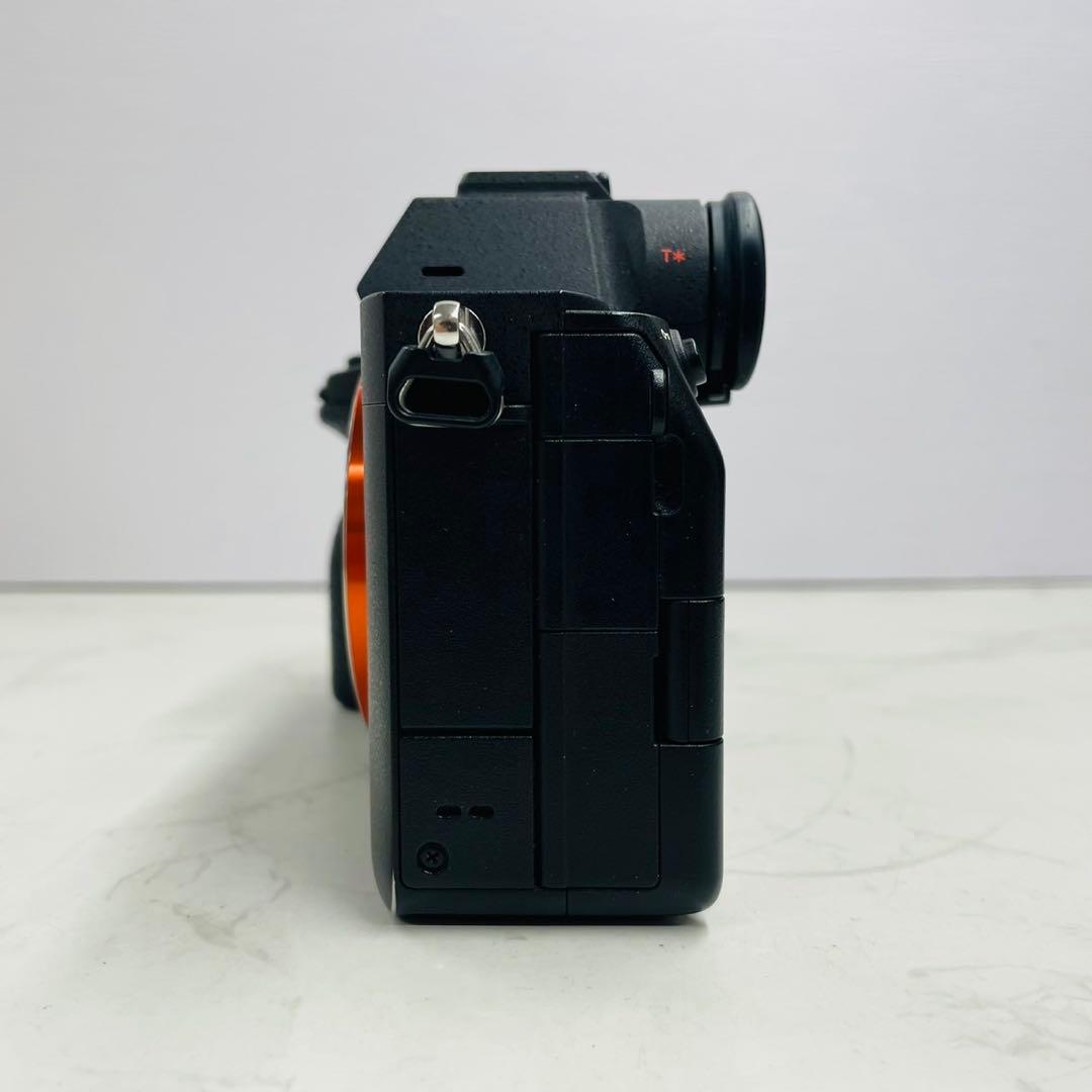 SONY α7Ⅳ ILCE-7M4 ショット数18,764回