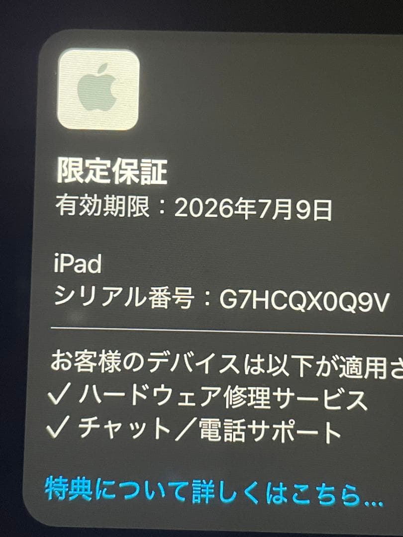 iPad A16 Wi-Fi 128GB ブルー　バッテリー100%