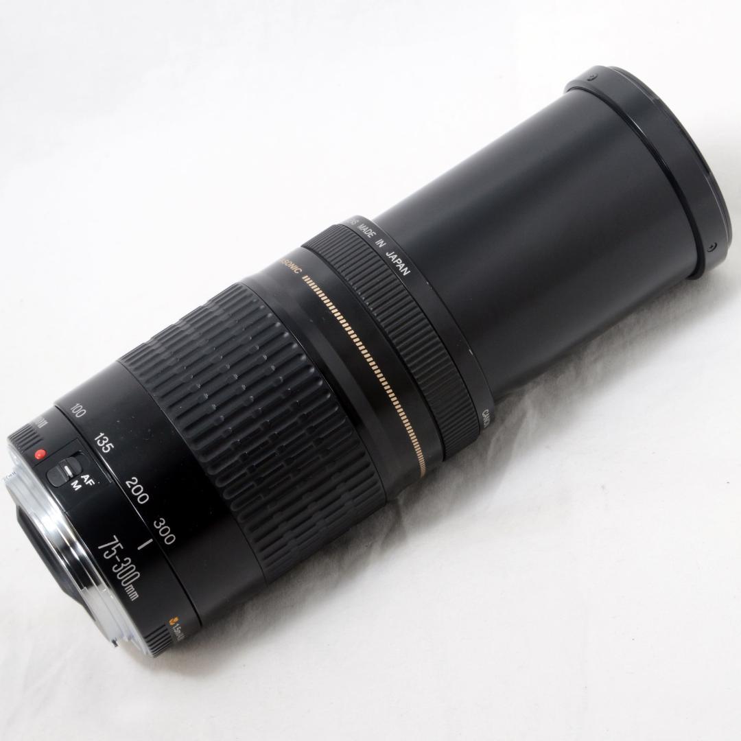⭐️美品⭐️Canon キャノン EF 75-300mm F4-5.6 USM