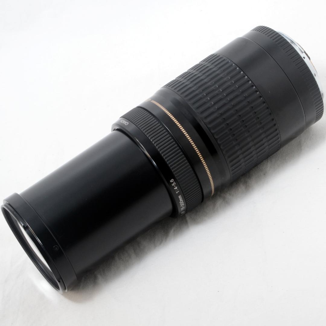 ⭐️美品⭐️Canon キャノン EF 75-300mm F4-5.6 USM