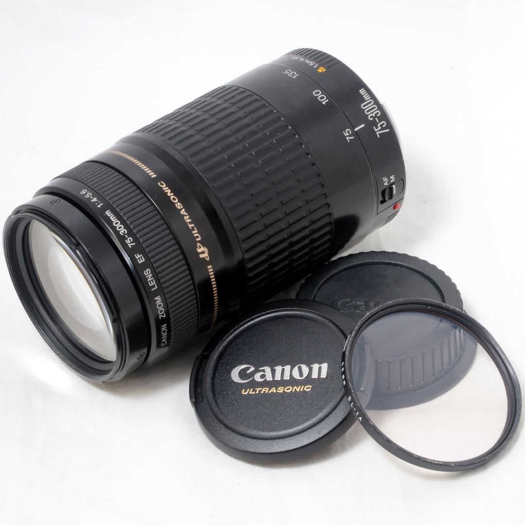 ⭐️美品⭐️Canon キャノン EF 75-300mm F4-5.6 USM