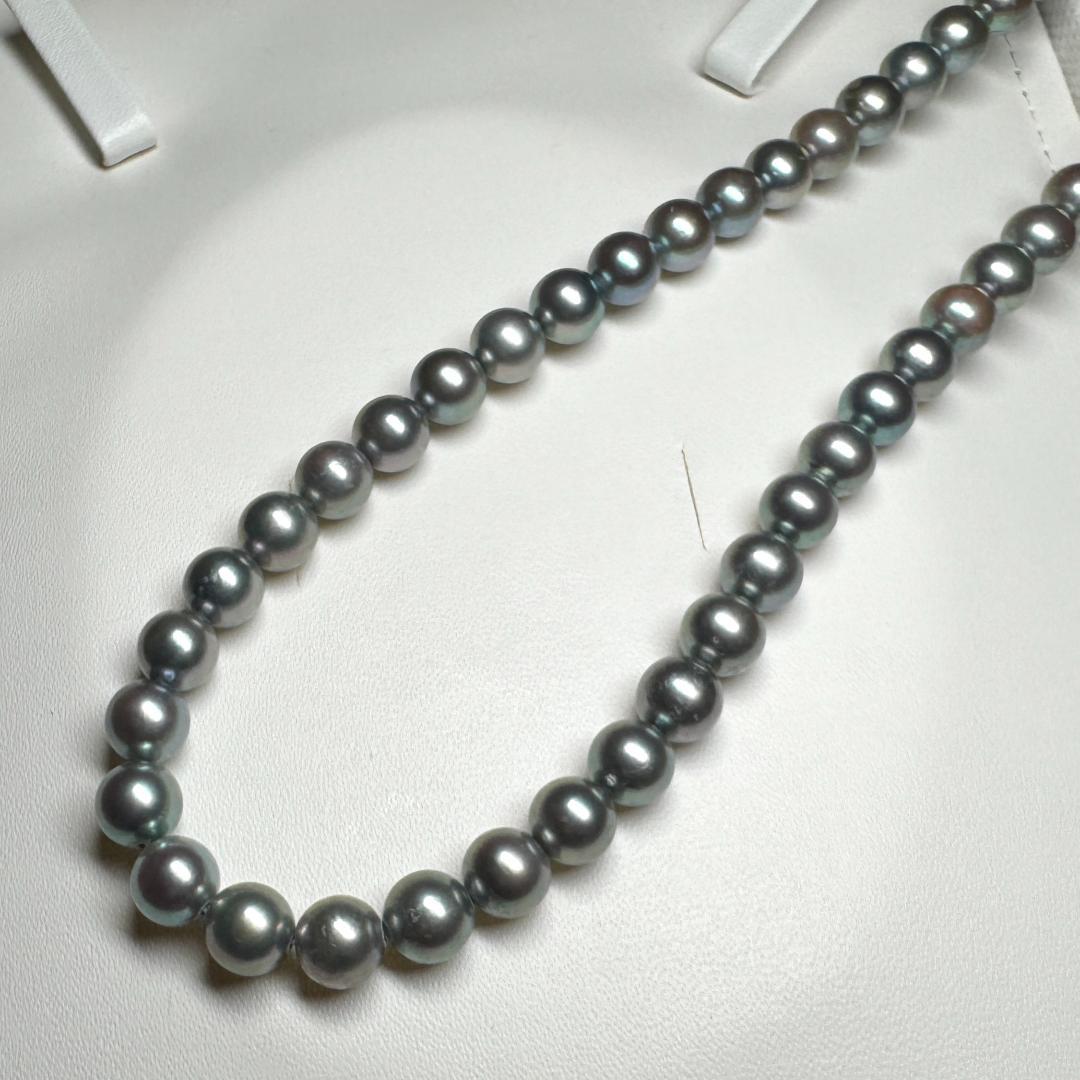 ブルーグレー✨ あこや真珠 パール ネックレス 約7.6-7.9mm SV留め具