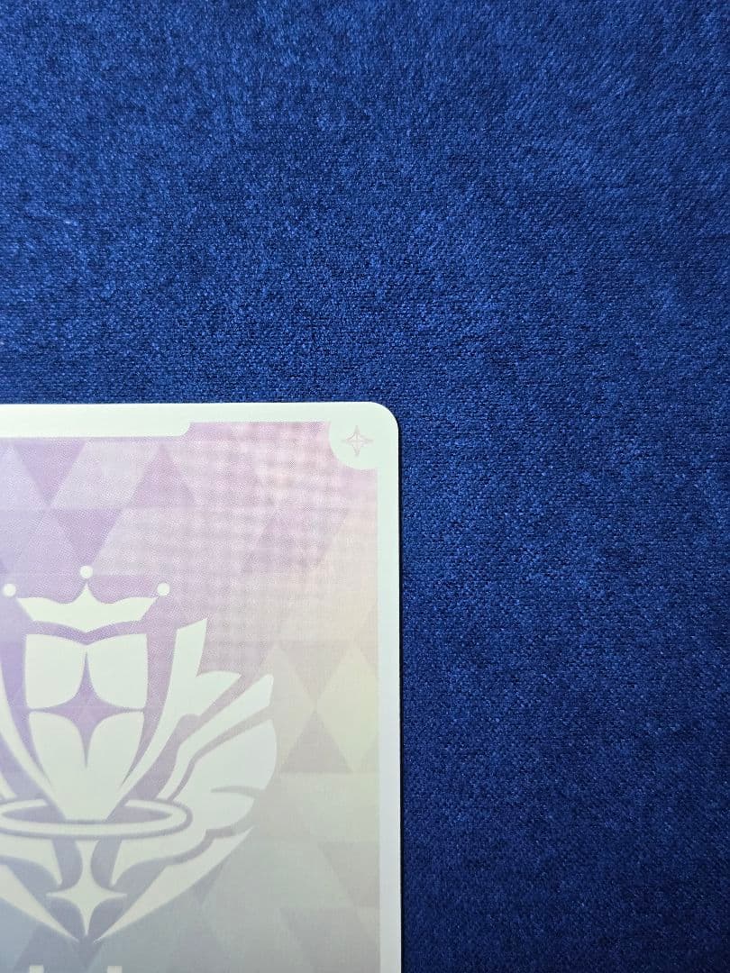 ホロカ　星街すいせい　SEC