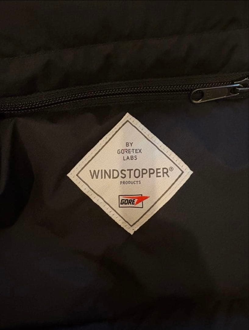 THE NORTH FACE オルタレーションシエラジャケット　ダウン