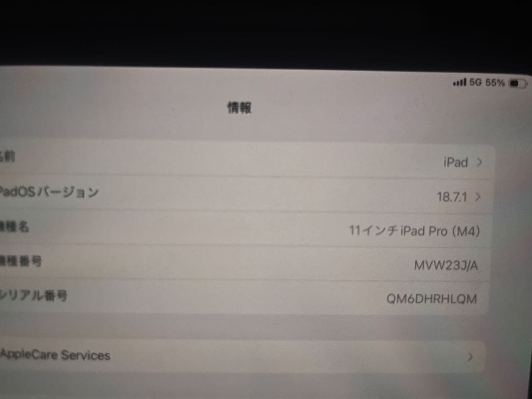 で*ん様 Apple iPad Pro 11インチ256 Appleペンシル、ケ