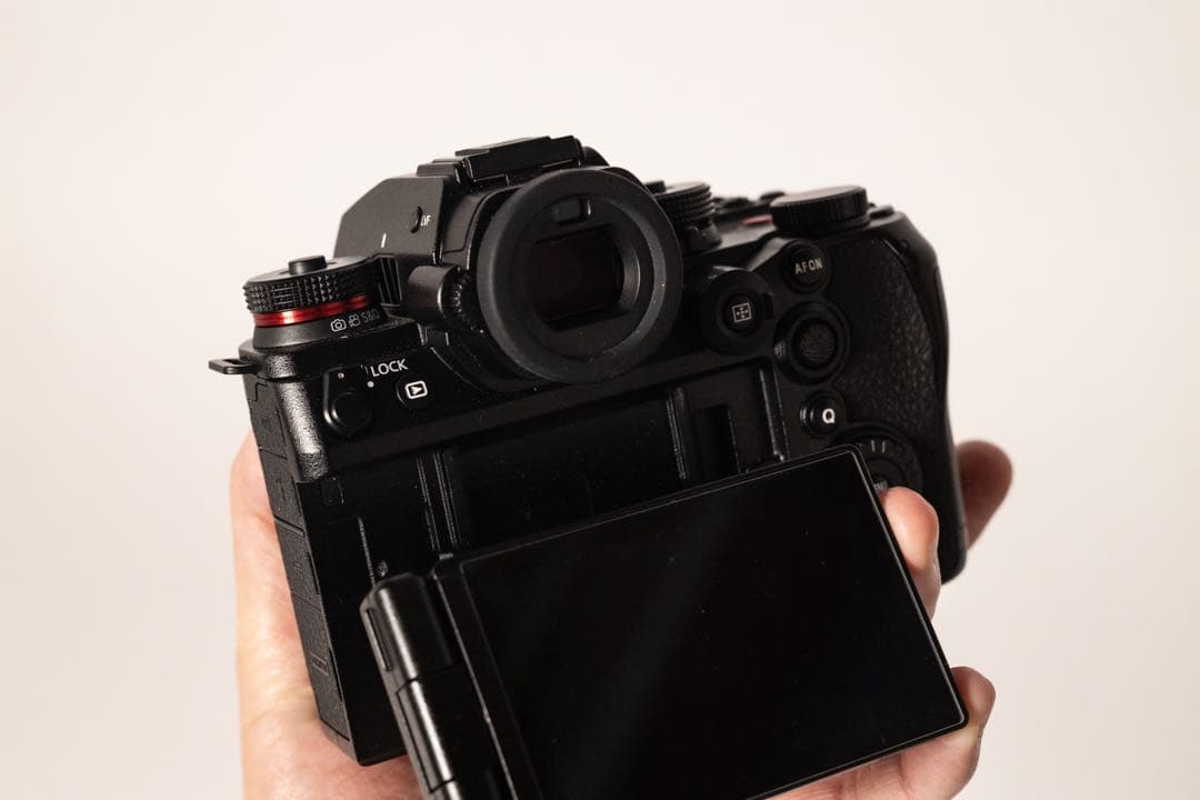 【超美品】LUMIX S1II ※バッテリーx3 急速充電器付き