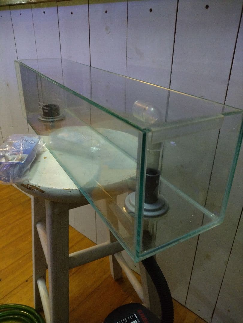 【今週限定値下げ】60センチオーバーフローガラス水槽 とエーハイム2213