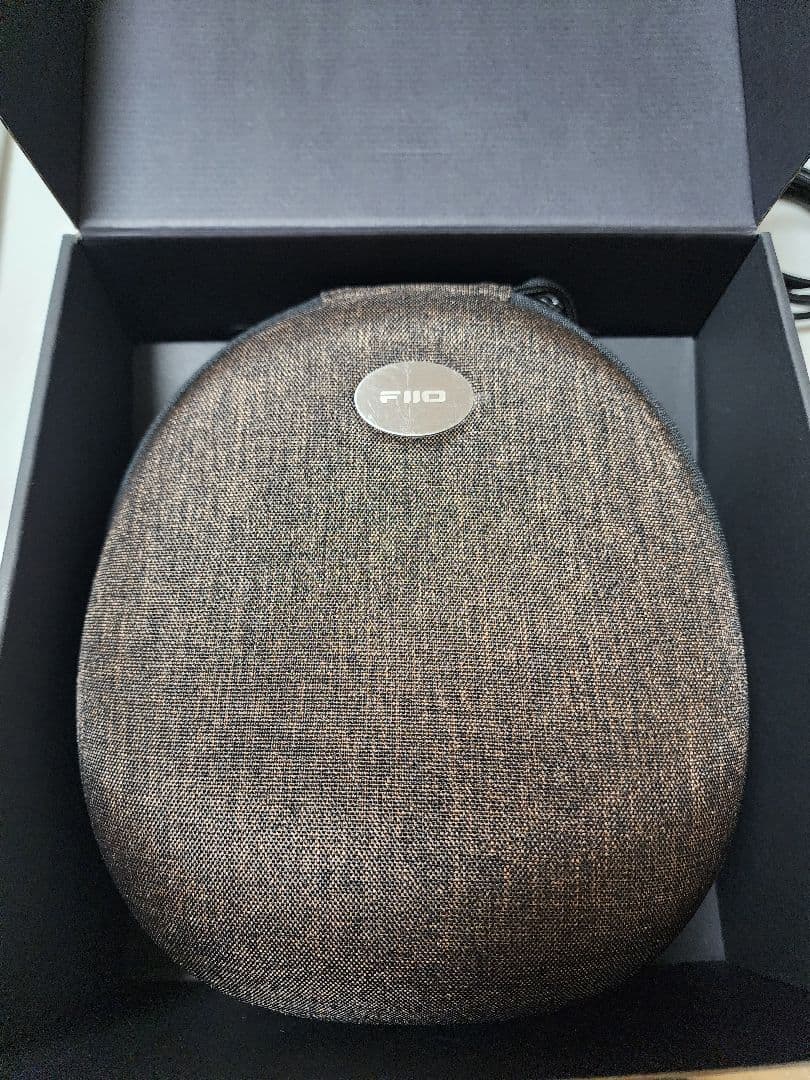 FIIO フィーオ FT1 Beech