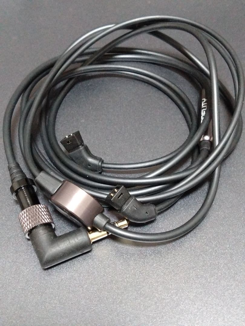 イヤホン DITA Twins Fidelity Barium Grey