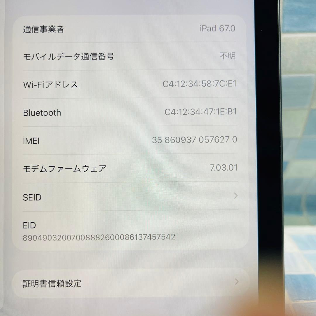 iPad 第9世代 本体 64GB WiFi+Cellular ドコモ グレイ