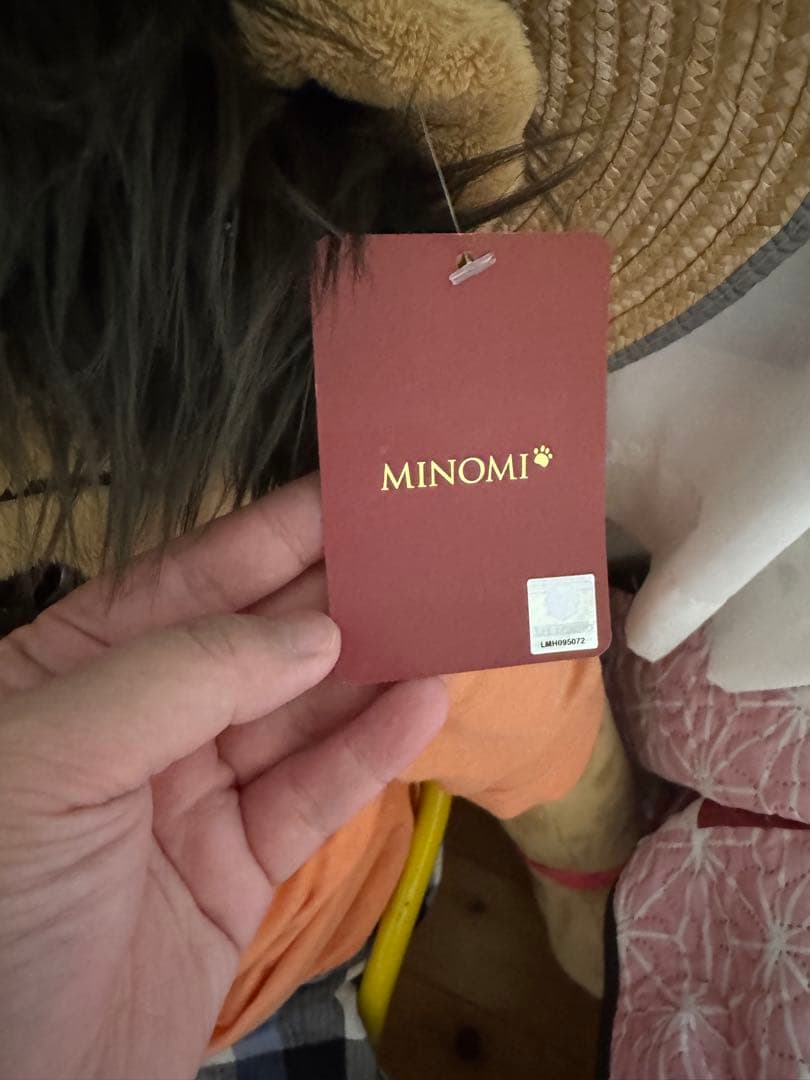 ジャイアントMINOMI.イミンホ