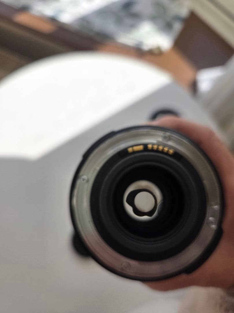 最終お値下げ　Canon EFS 18-200mm 　ズームレンズ