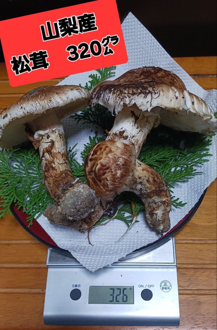 山梨産　　松茸　 320㌘　良開き2本　蕾1本