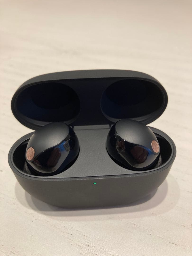 WF-1000XM5 / WF-1000XM3 セット