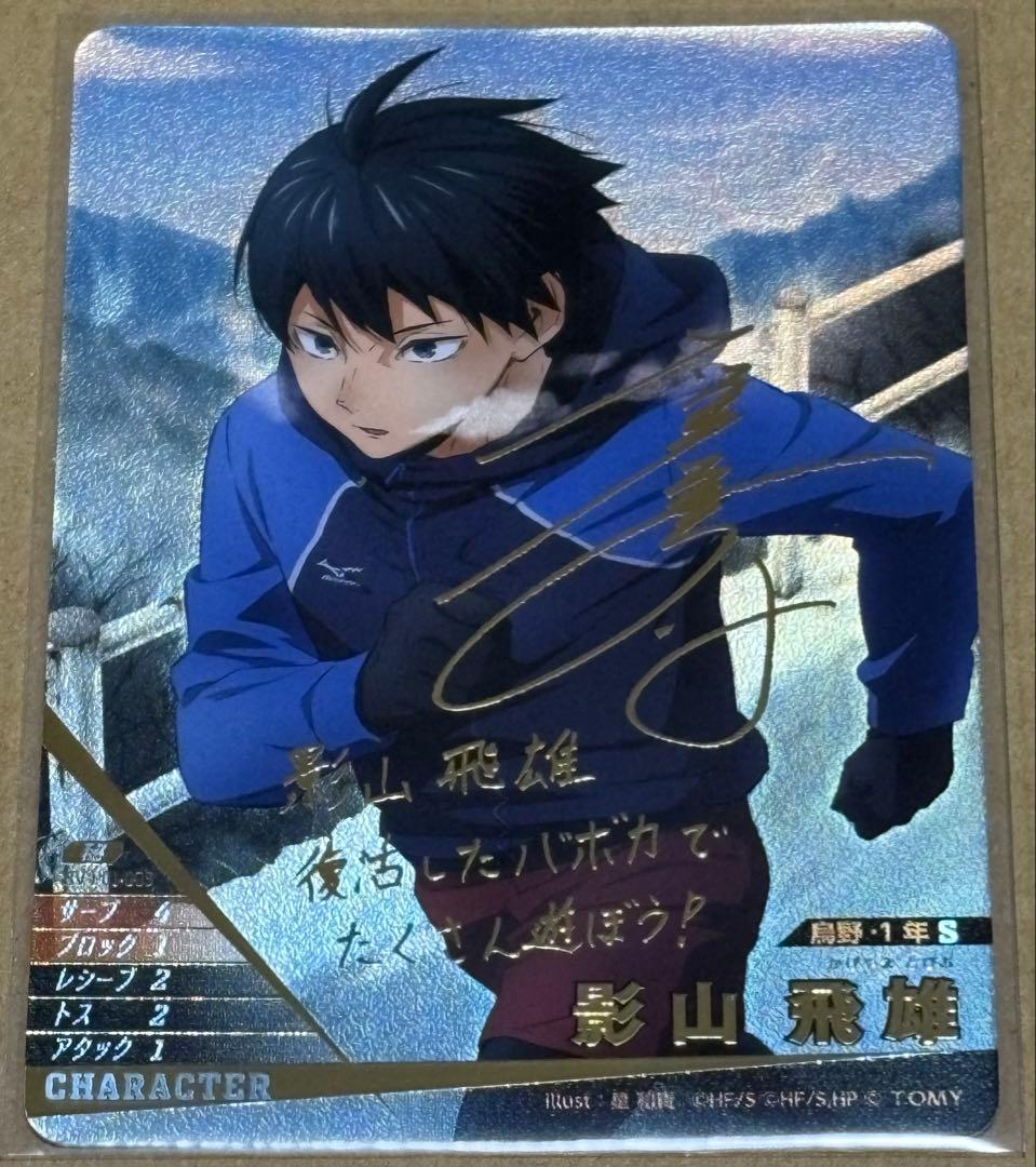 2308．ハイキュー バボカ 秘 秘バボ サイン 影山 飛雄