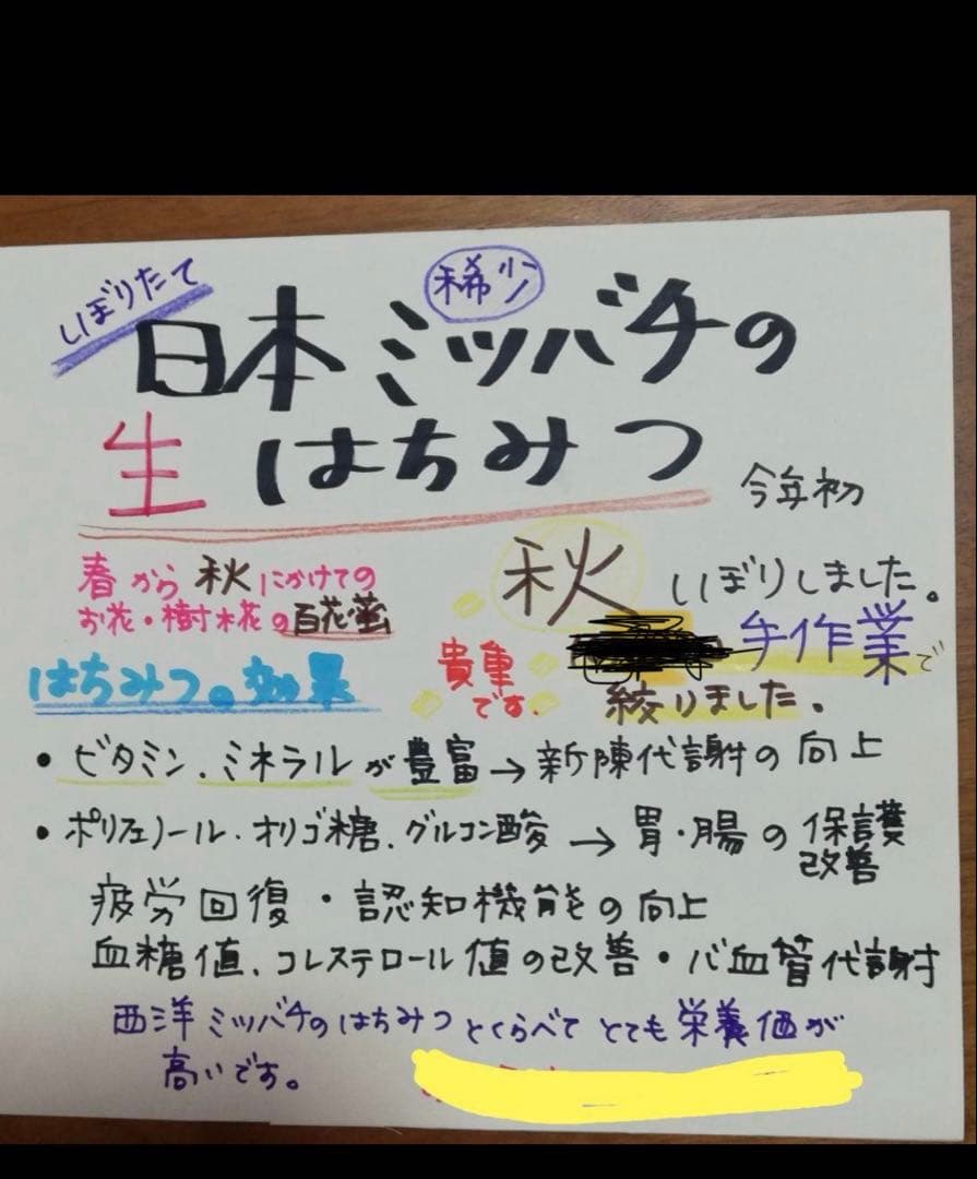 100%天然生ハチミツ　日本ミツバチの蜂蜜620g✖️２本