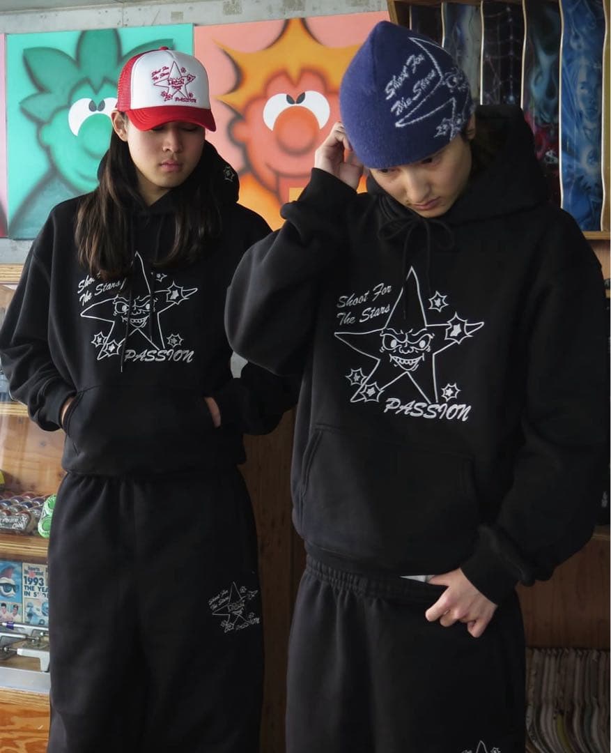 passion mohair beanie passport スターチーム