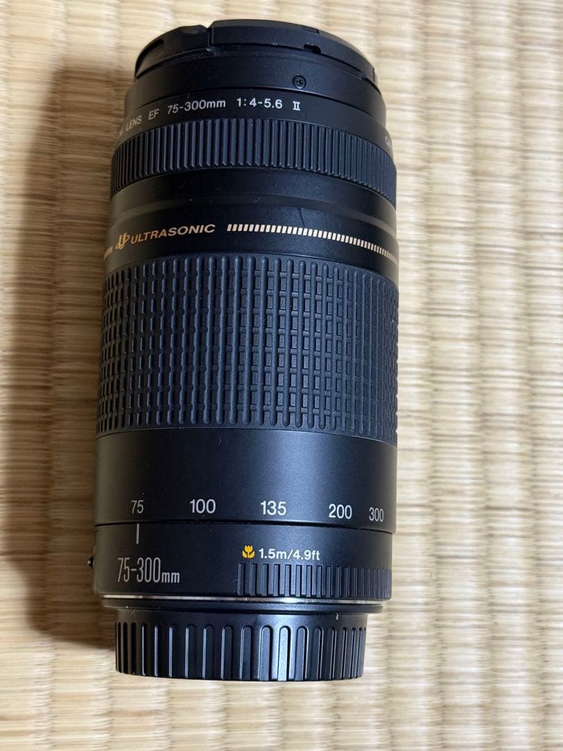 Canon EOS 35mm 一眼レフカメラ EFレンズ2本付き