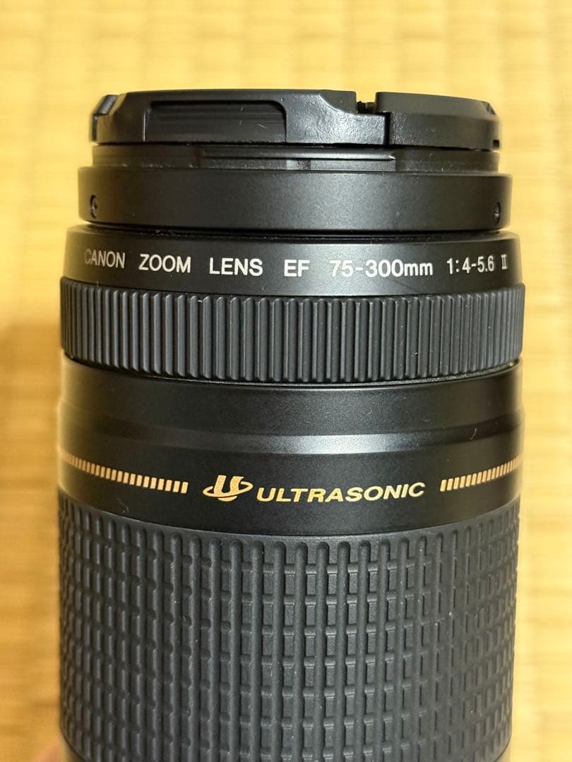 Canon EOS 35mm 一眼レフカメラ EFレンズ2本付き