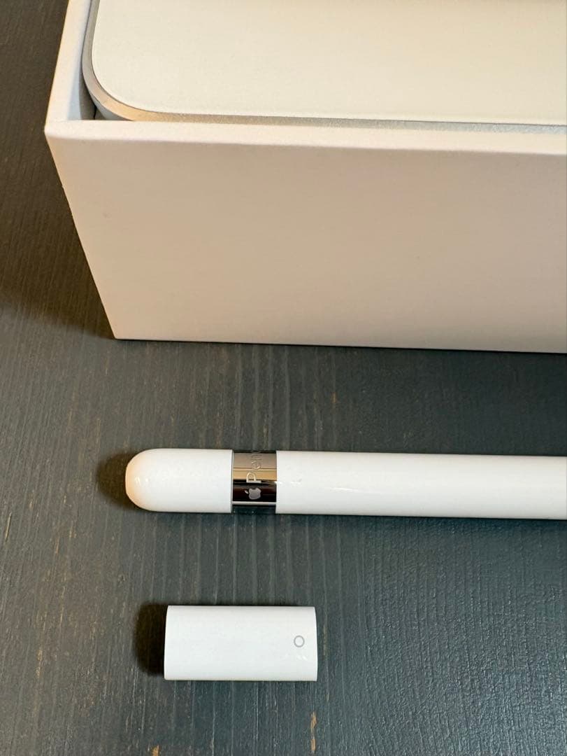 Apple iPad A1893 + Apple Pencil 第一世代