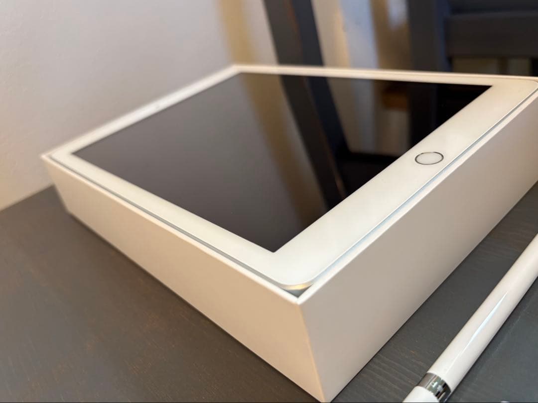 Apple iPad A1893 + Apple Pencil 第一世代