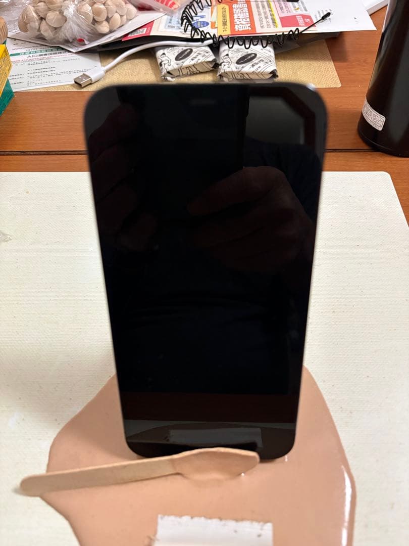 iPhone12 ProMAX 256GB 本体 のみ