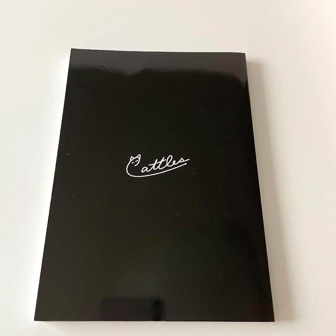 レア！キャットルズ　トレードへの取り組み方　黒猫アイランド　FX本　株　投資