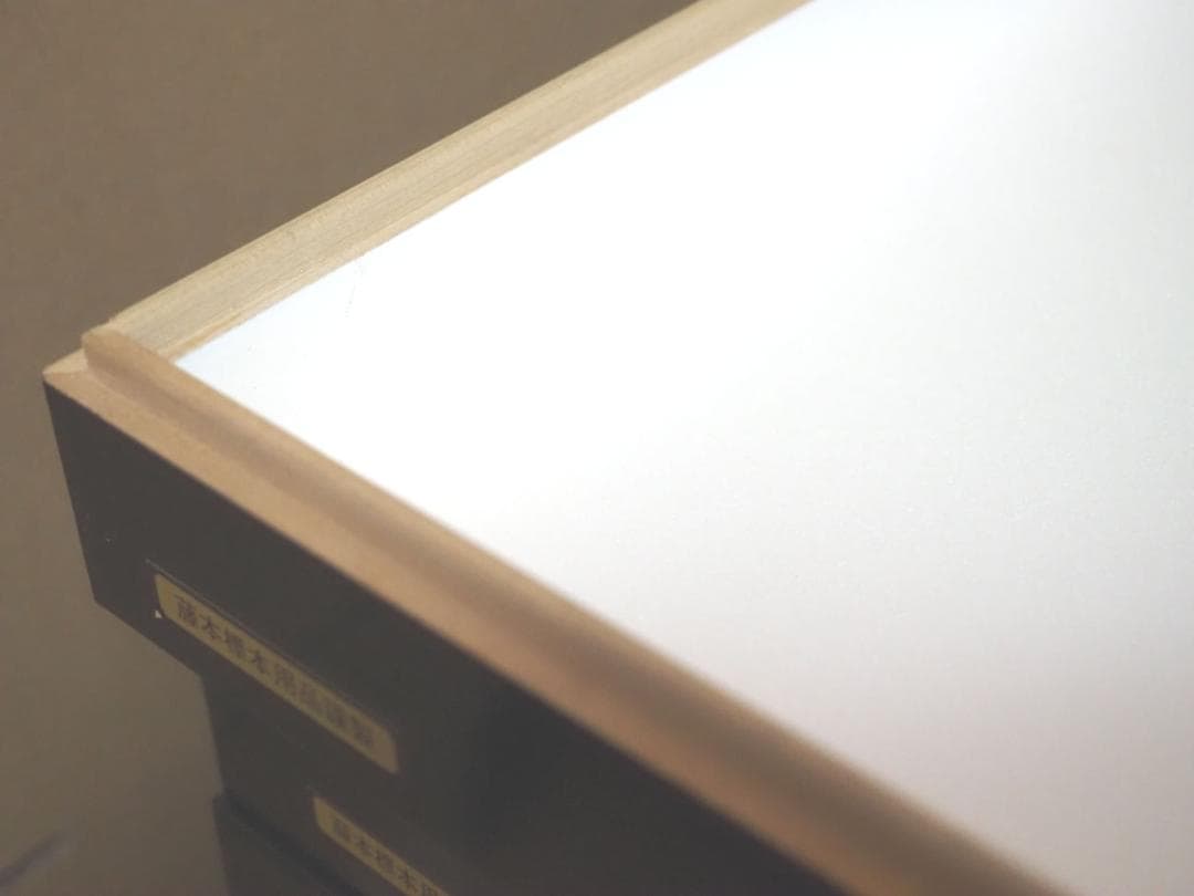 標本箱　ドイツ箱　大型 5個セット(中古、藤本標本用品製等)