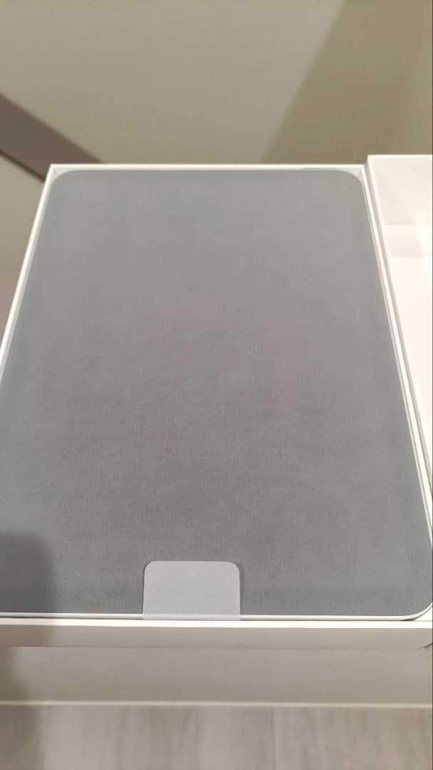 iPad本体 Apple iPad (A16)Wi-Fi 128GB