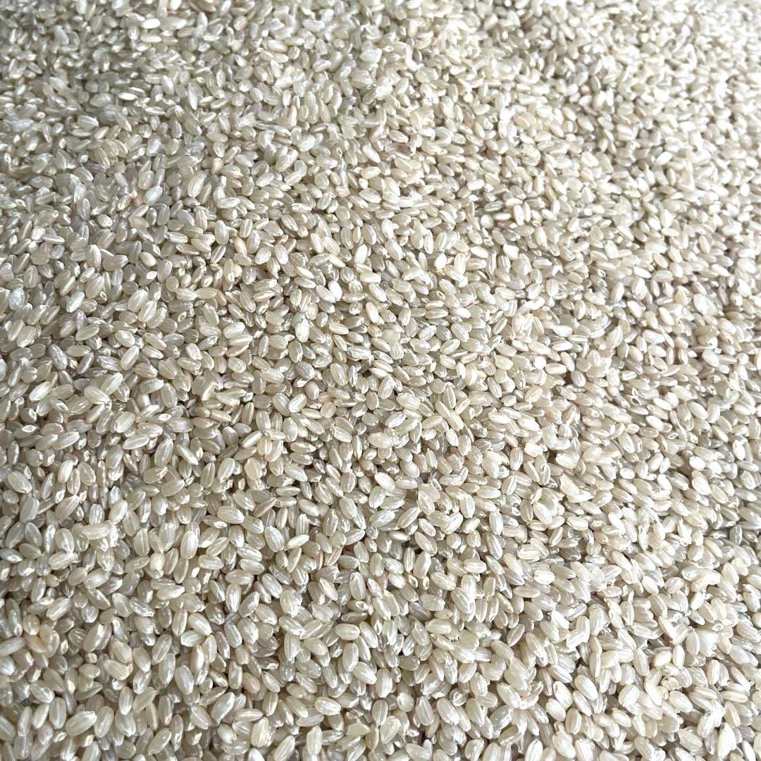 能登産コシヒカリの玄米　令和6年産20kg