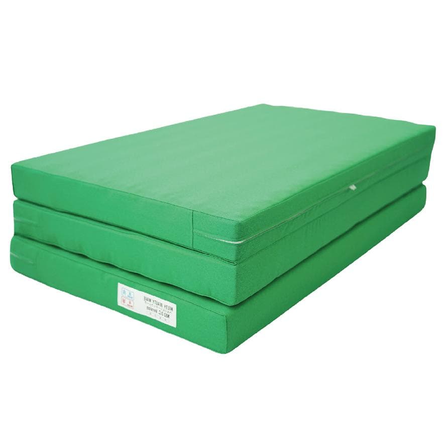 定価27500円 最新 新品 ヘルスビューティウェーブ NEO DX DCver