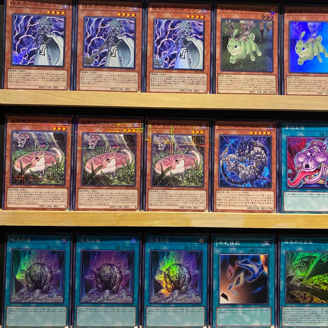 即日発送！暗黒界未界域　デッキ　遊戯王　ネッシー　スノウ　グラファ　カラレス