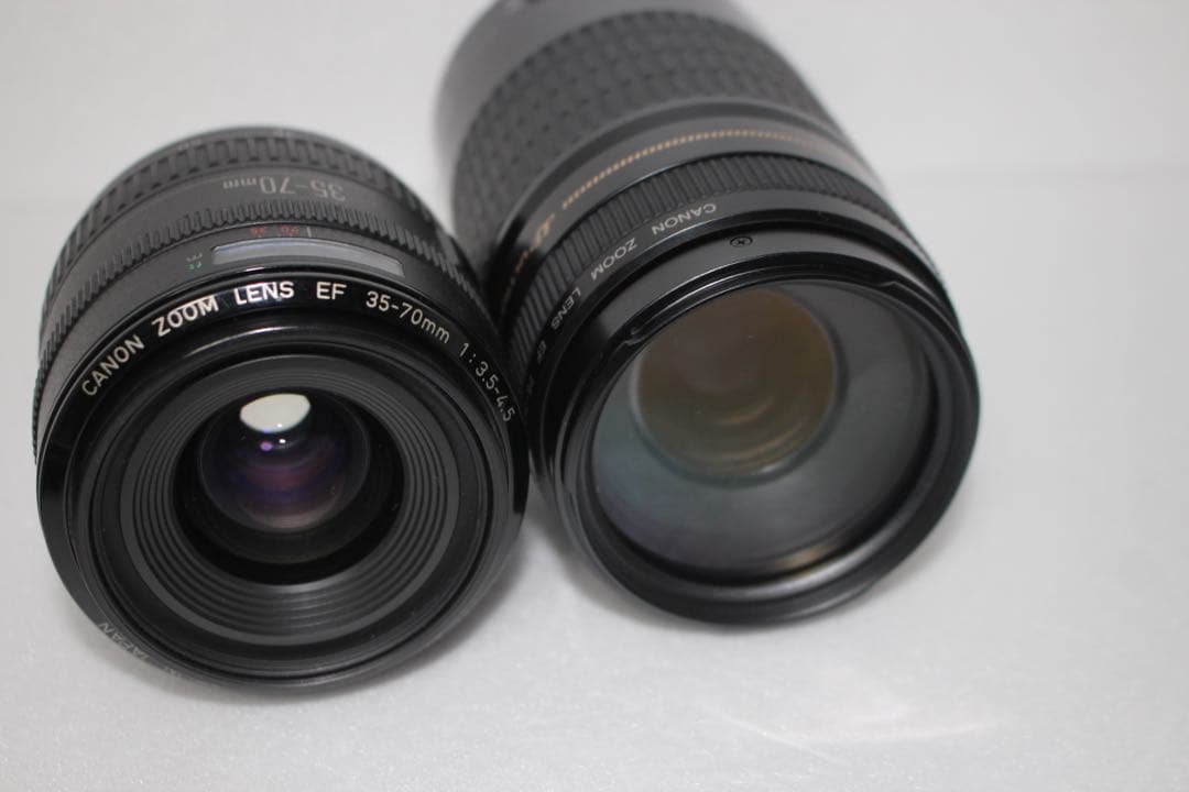 保証付☆キャノン Canon EOS 80D 標準＆望遠ダブルレンズセット