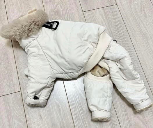 USHH イタグレスノースーツ