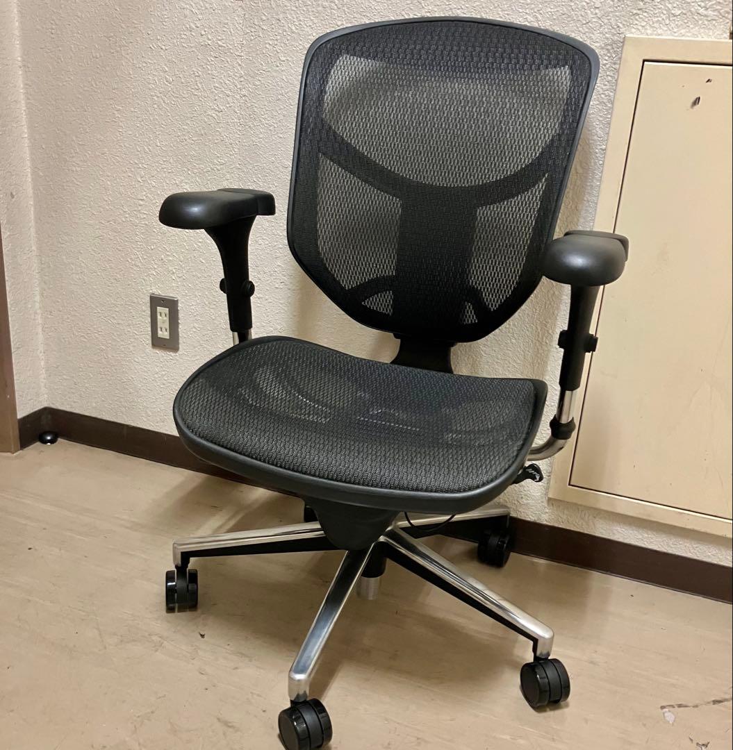 エンジョイ Ergohumanエルゴヒューマン 肘付きオフィスチェア