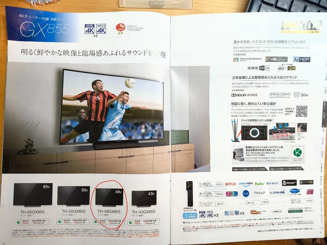 266_パナソニック 49型 液晶テレビ ビエラ TH-49GX855