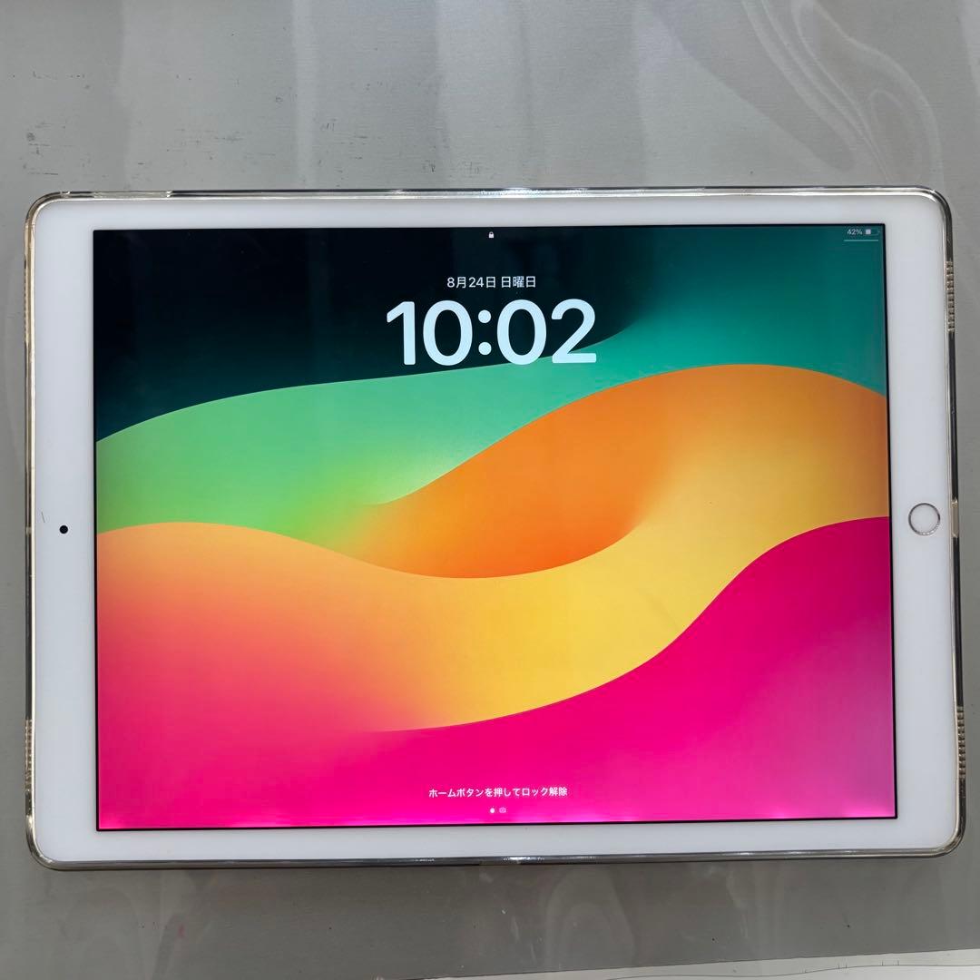 iPad Pro 12.9インチ 第2世代 Wi-Fi 64GB 画面変色あり