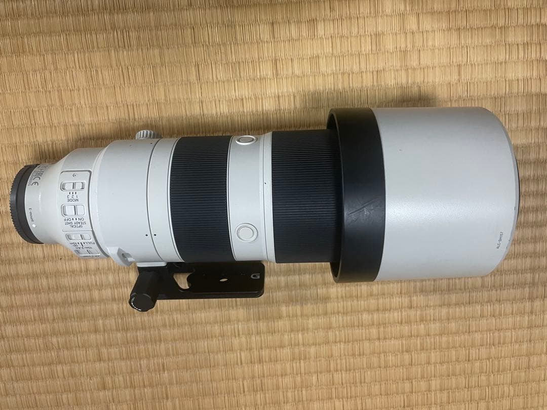 SONY FE 200mm -600mm 超望遠