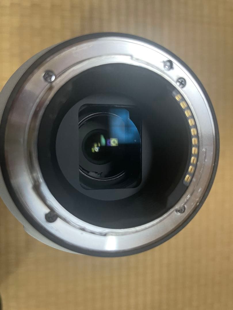 SONY FE 200mm -600mm 超望遠