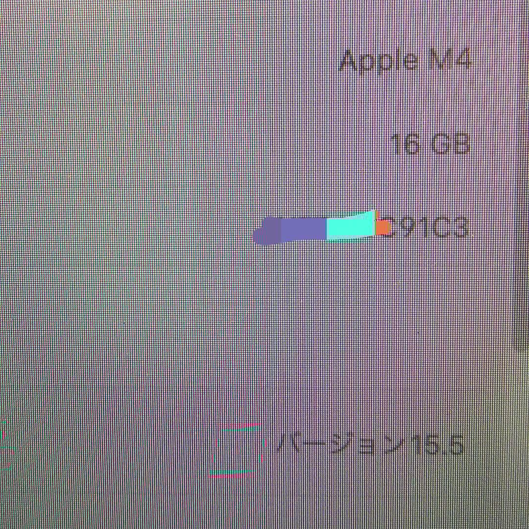Mac mini M4 256GB 16GB美品 2026年5月5日まで保証有り