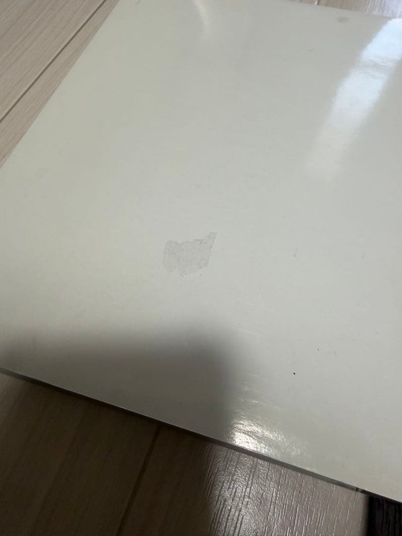 イサムカタヤマ BACKLASH ルビー ウォレットチェーン