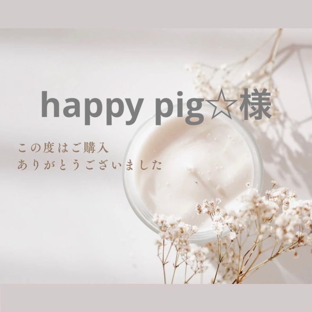 happy pig☆様