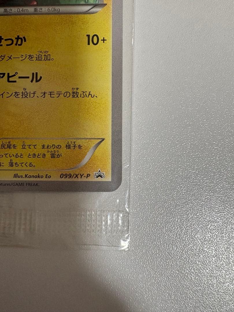 【美品】おきがえピカチュウ 、レックウザ、セット【値下げ交渉不可】