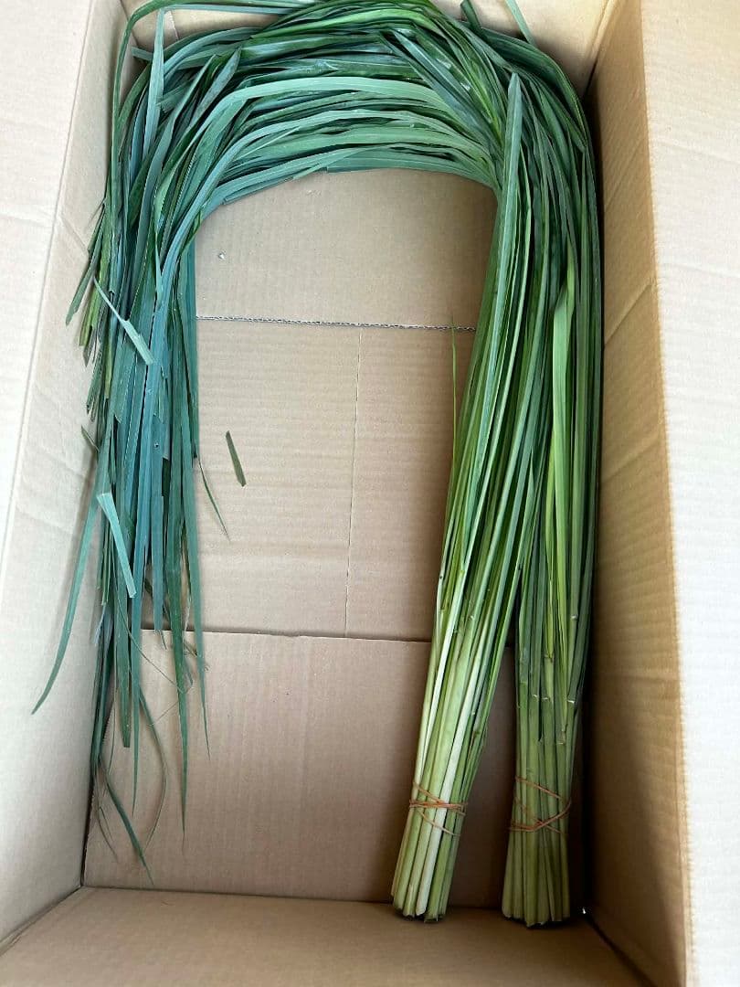 完全無農薬レモングラスの葉 10キログラムです。