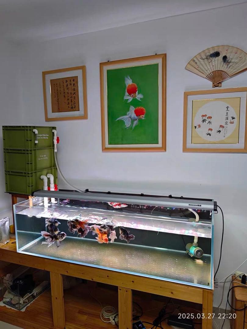 【a1028a1004】 商品内容は説明文をご確認ください。