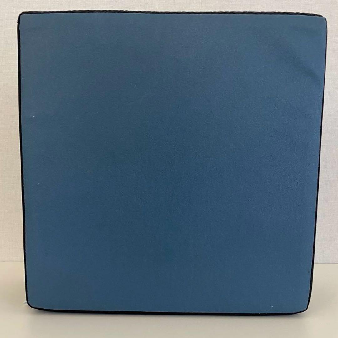 SANTEPLUS サンテプラス フレックスクッション ストレッチ エクササイズ