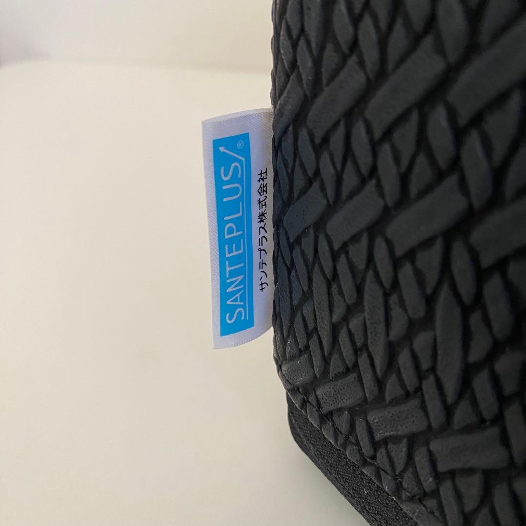 SANTEPLUS サンテプラス フレックスクッション ストレッチ エクササイズ